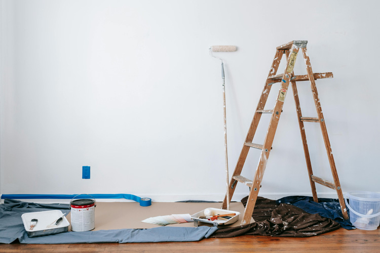 The Ultimate Guide to Finding the Best House Painters in North Shore Auckland